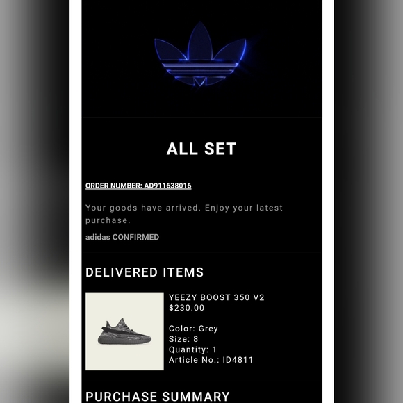 Yeezy MX Dark Salt w/Online Receipt - Picture 2 of 3